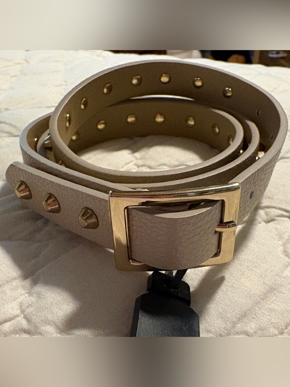 The Limited Taupe Leather Stud Belt with Gold Buckle